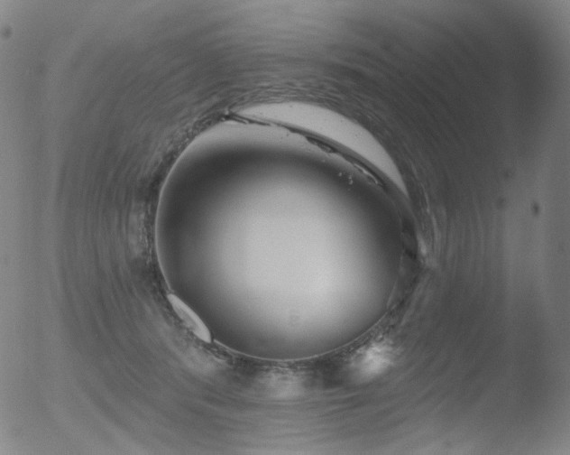 X0000052940416200507081149