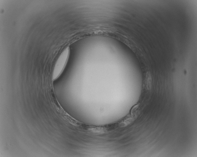 X0000052940417200507081149