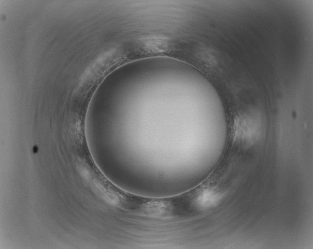 X0000052940418200507081149