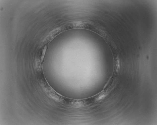 X0000052940419200507081149