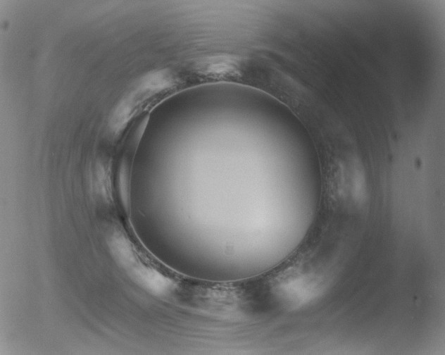 X0000052940420200507081149