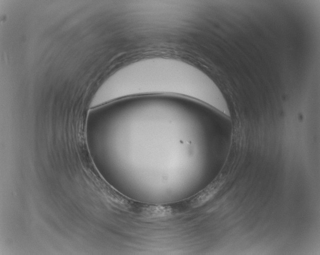 X0000052940421200507081149