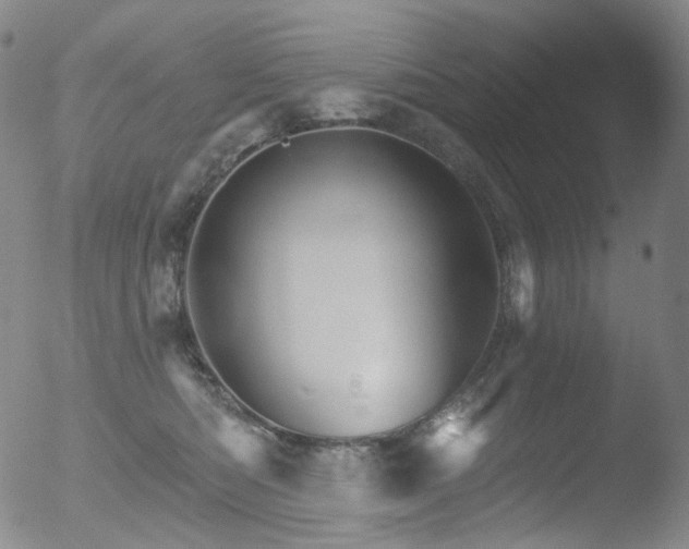 X0000052940422200507081149