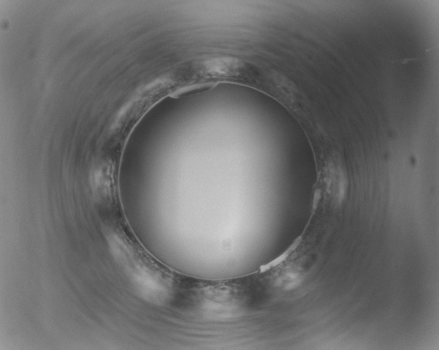 X0000052940423200507081149