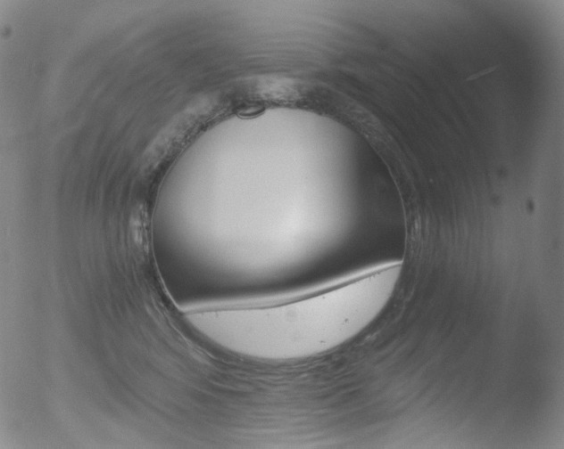 X0000052940424200507081149