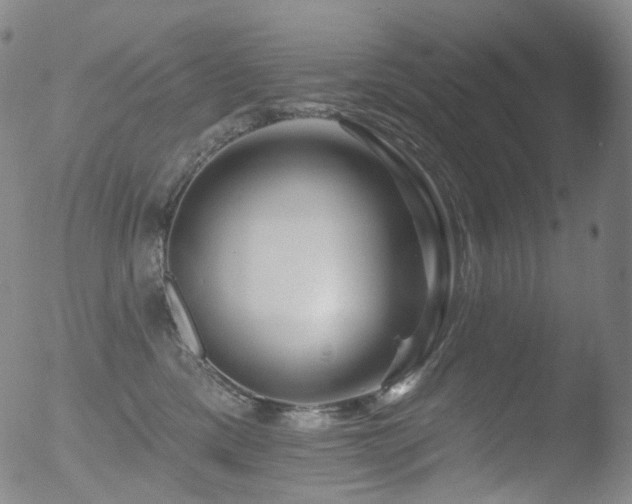 X0000052940425200507081149