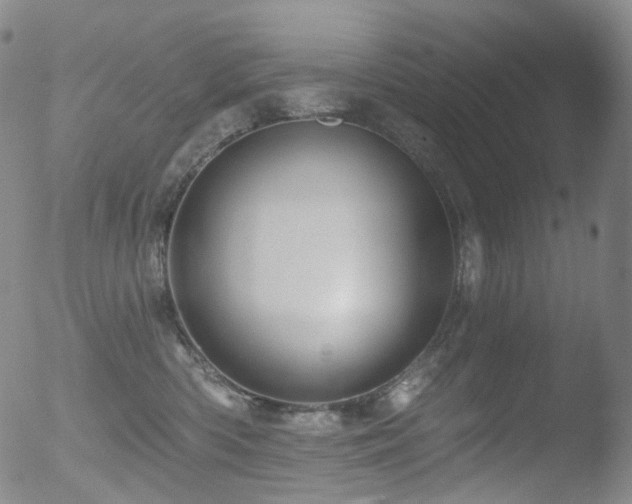 X0000052940426200507081149