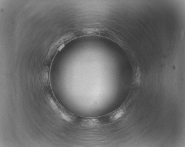 X0000052940427200507081149