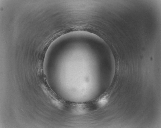 X0000052940428200507081149