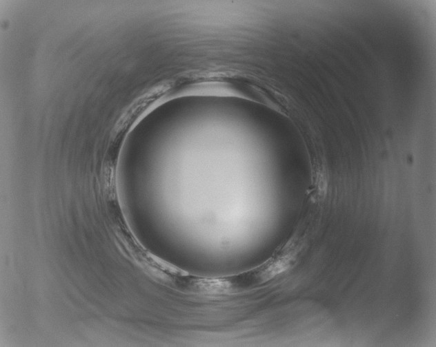 X0000052940429200507081149