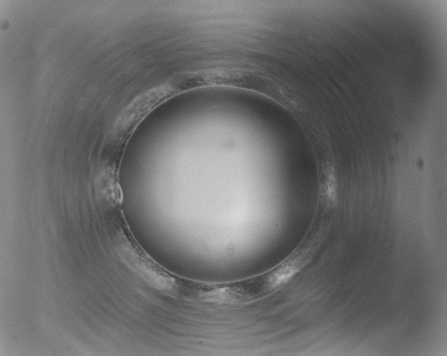 X0000052940430200507081149