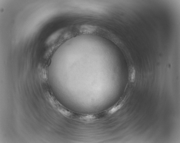 X0000052940431200507081149