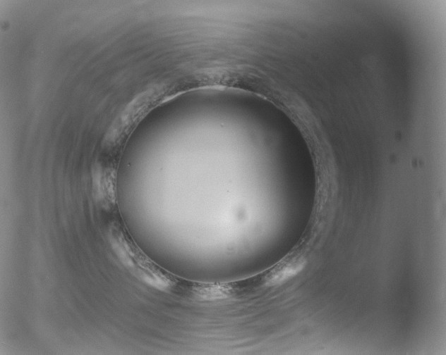 X0000052940432200507081149