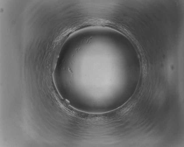 X0000052940433200507081148