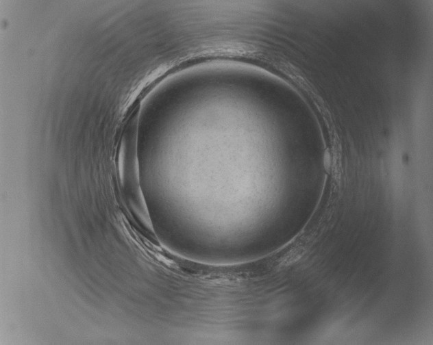 X0000052940434200507081148