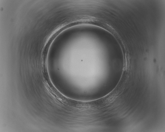 X0000052940435200507081148