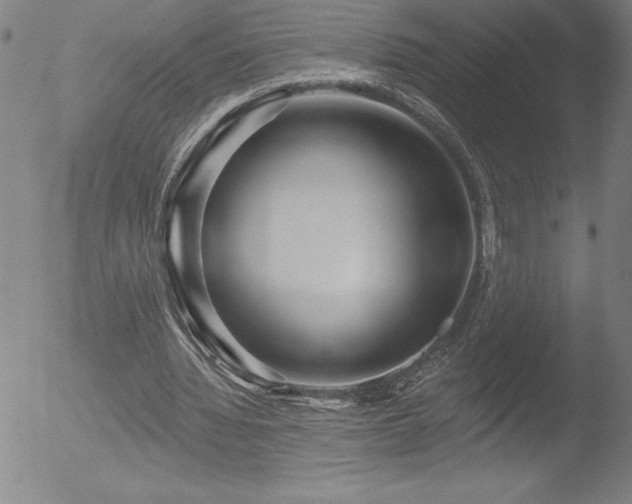 X0000052940436200507081148