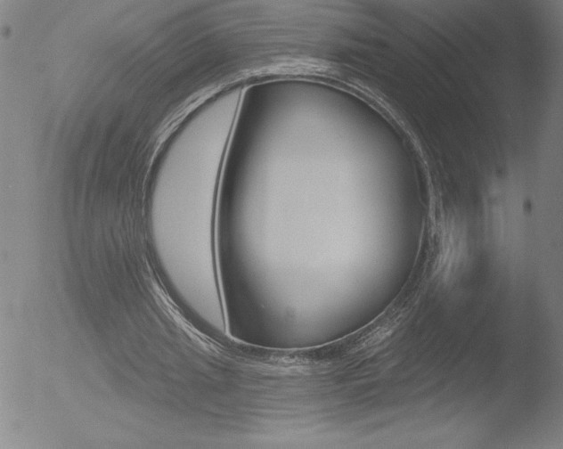 X0000052940437200507081148