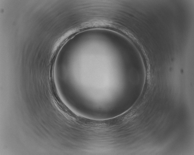 X0000052940438200507081148