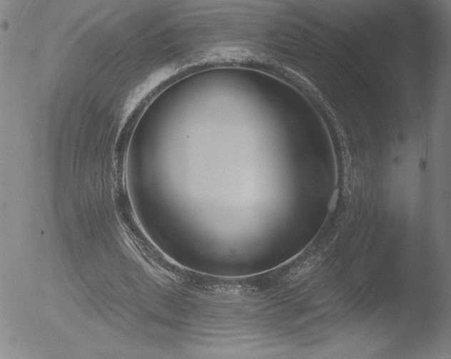 X0000052940439200507081148