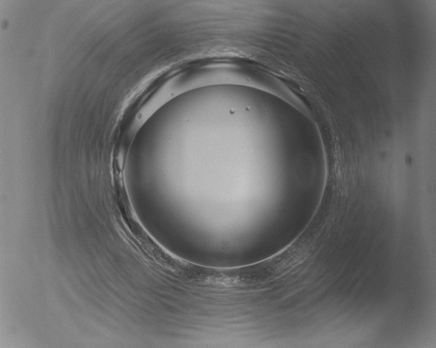 X0000052940440200507081148