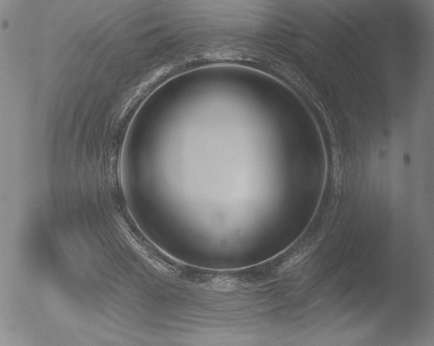 X0000052940441200507081148