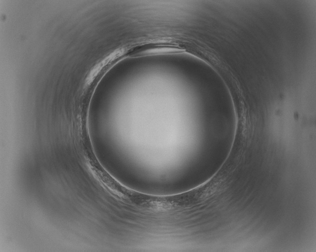 X0000052940442200507081148