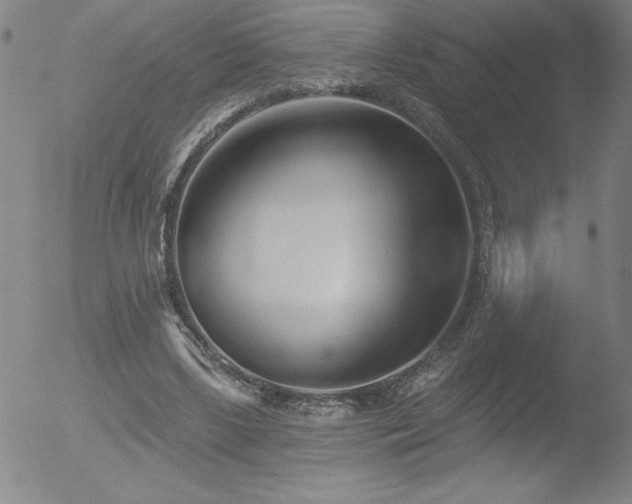 X0000052940443200507081148