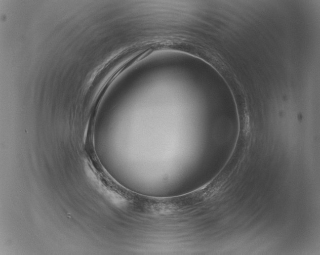 X0000052940444200507081148