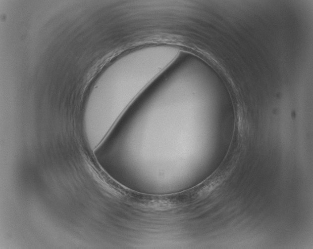 X0000052940445200507081148