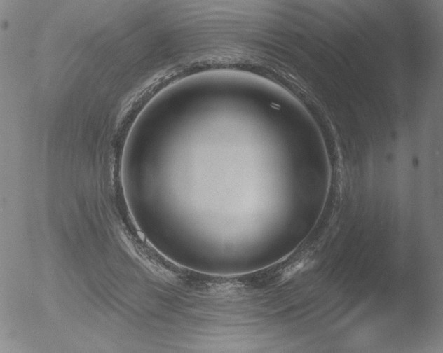 X0000052940446200507081148