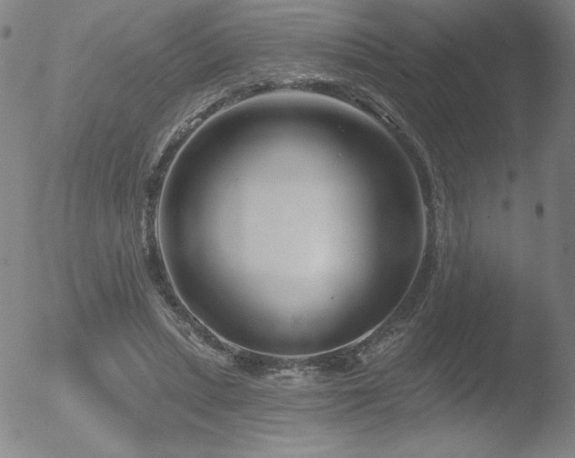 X0000052940447200507081148