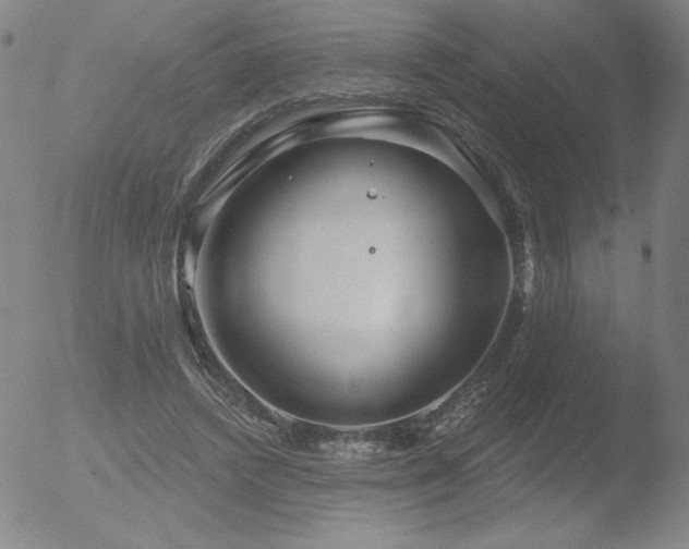 X0000052940448200507081148