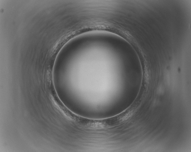 X0000052940449200507081148