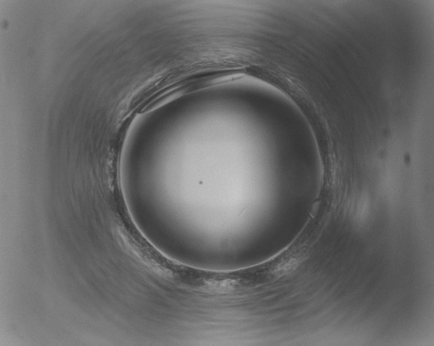 X0000052940450200507081148