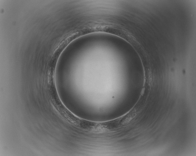 X0000052940451200507081148