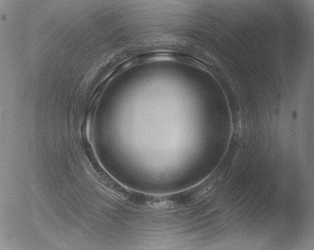 X0000052940452200507081148