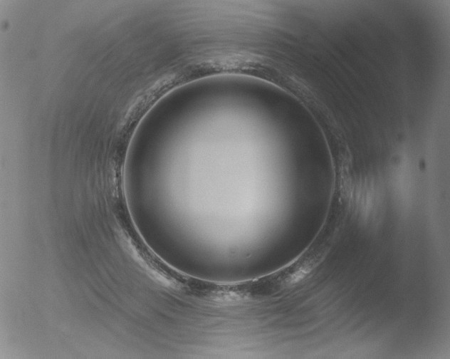 X0000052940453200507081148