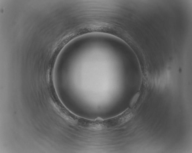 X0000052940454200507081148