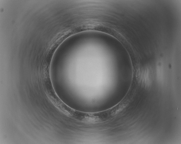 X0000052940455200507081148