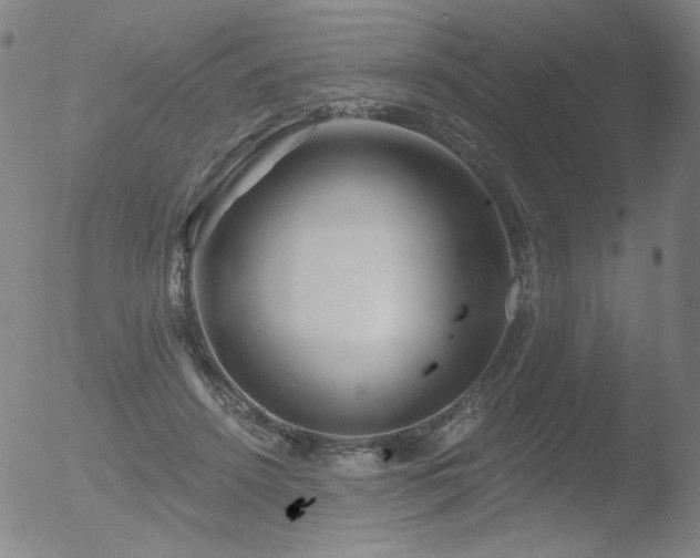 X0000052940456200507081148