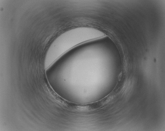 X0000052940457200507081148