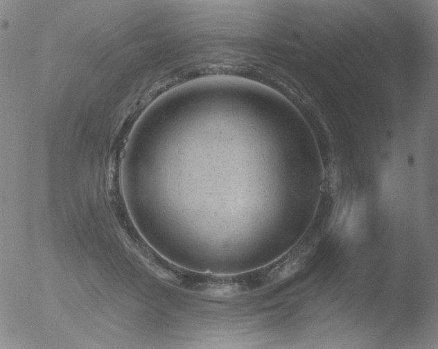 X0000052940458200507081148