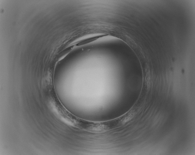 X0000052940459200507081148