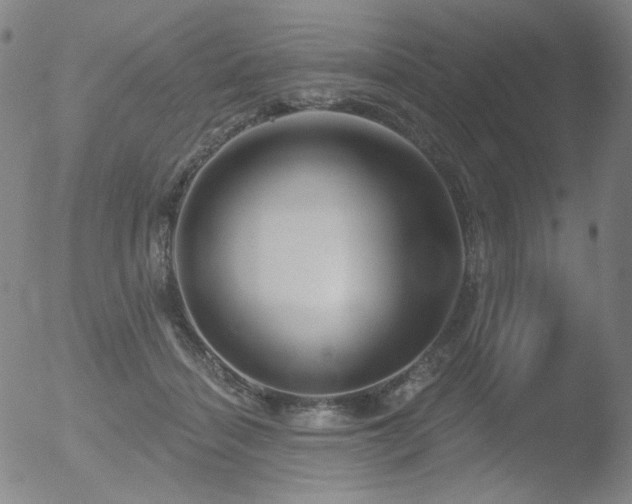 X0000052940460200507081148