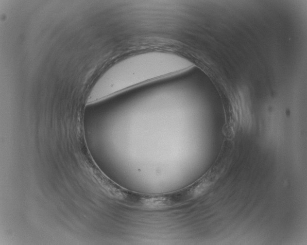 X0000052940461200507081148