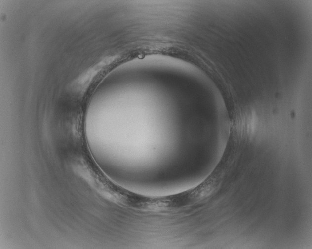 X0000052940462200507081148