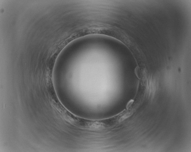 X0000052940463200507081148