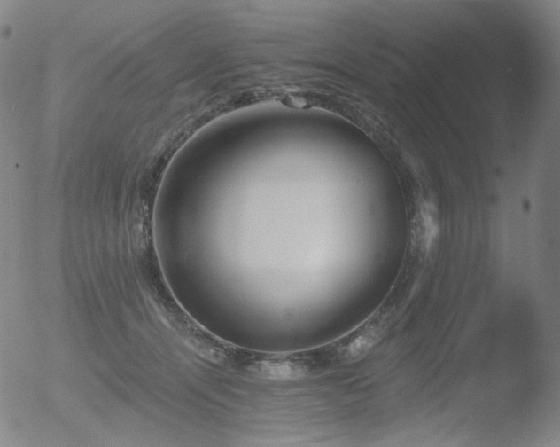 X0000052940464200507081148