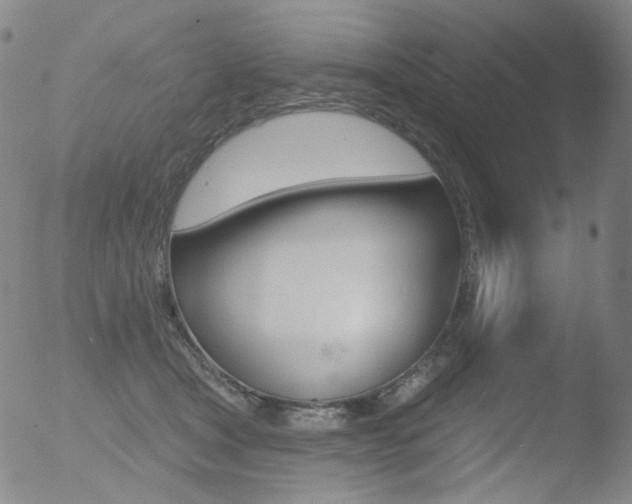 X0000052940465200507081148